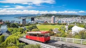 Make Wellington, New Zealand, Your Next Vacation Destination